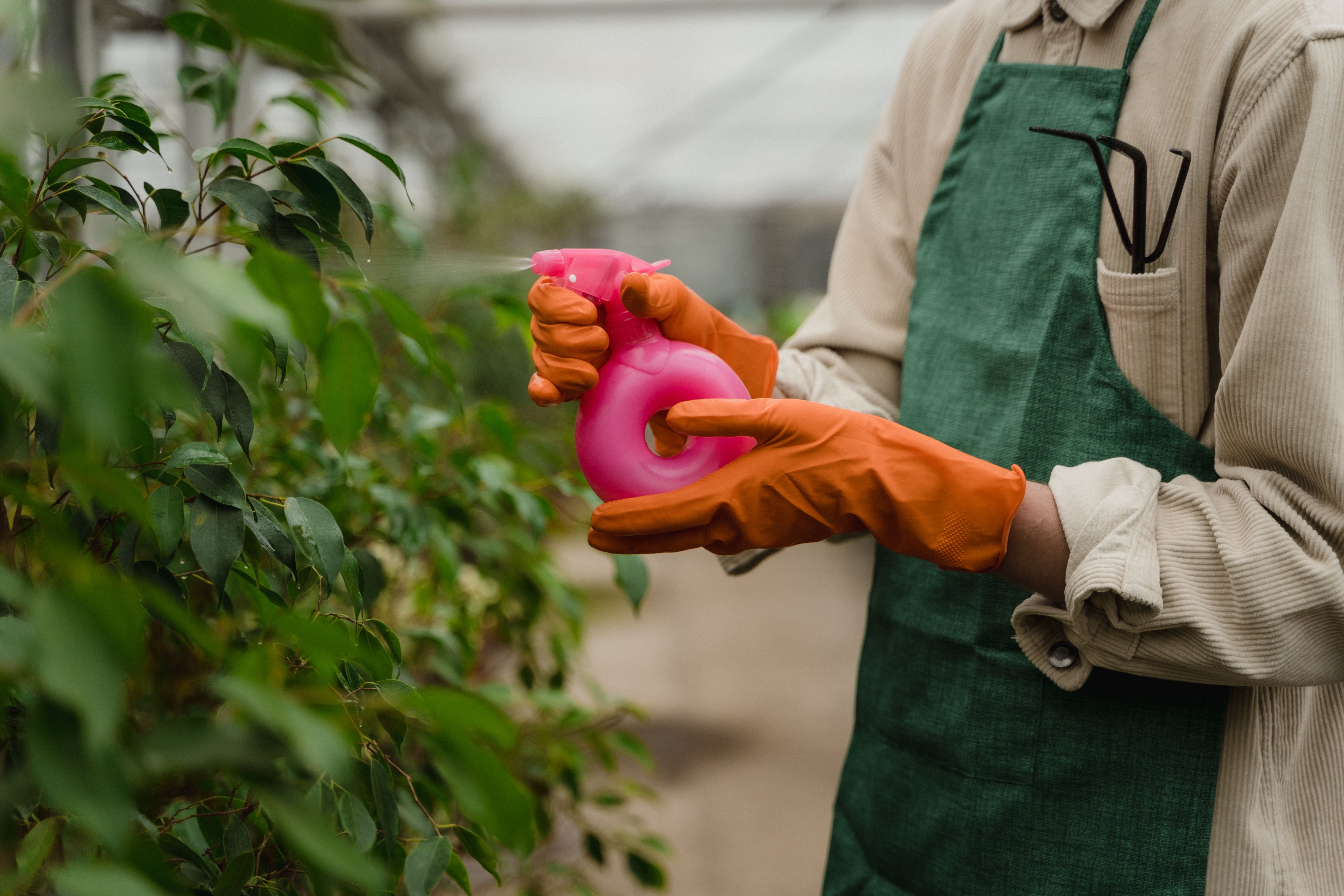 Pest and Disease Control
